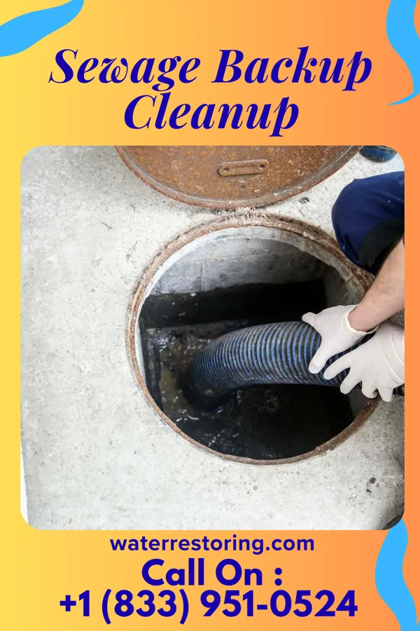 Sewage Backup Cleanup in North Westport, MA