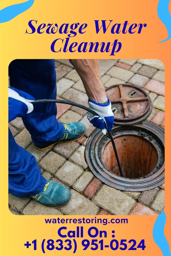 Sewage Water Cleanup in North Westport, MA